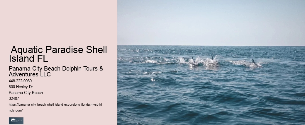  There Are No Public Restrooms At Shell Island