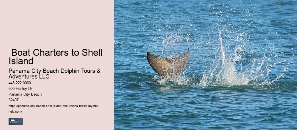  Boat Charters to Shell Island
