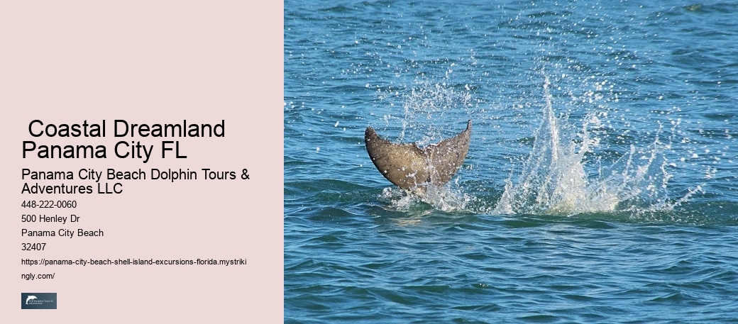  Coastal Dreamland Panama City FL