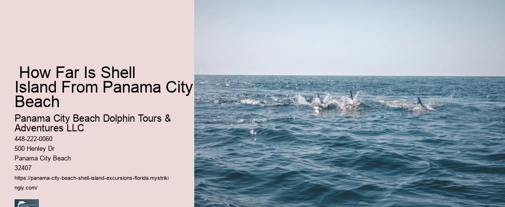  This Is A Perfect Place To Find Seashells Along The Water's Edge