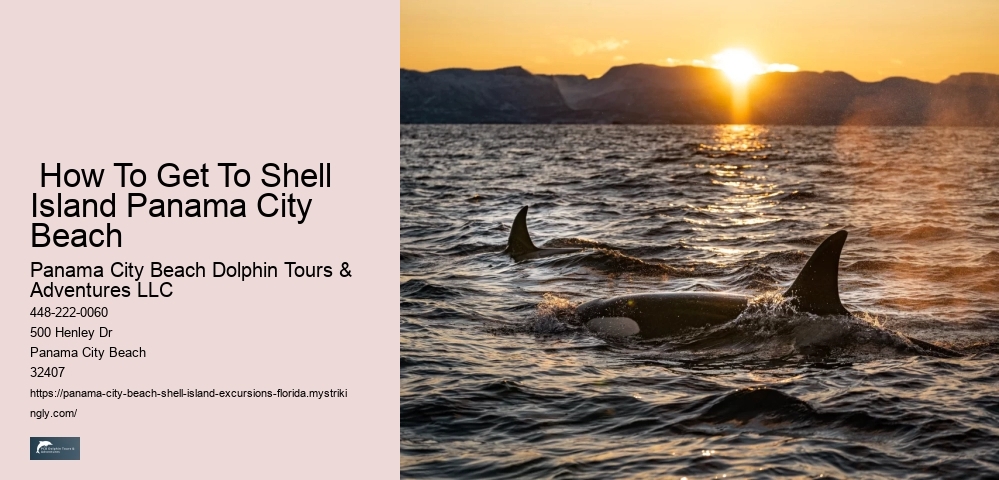 Shell Island Aquatic Oasis Exploration