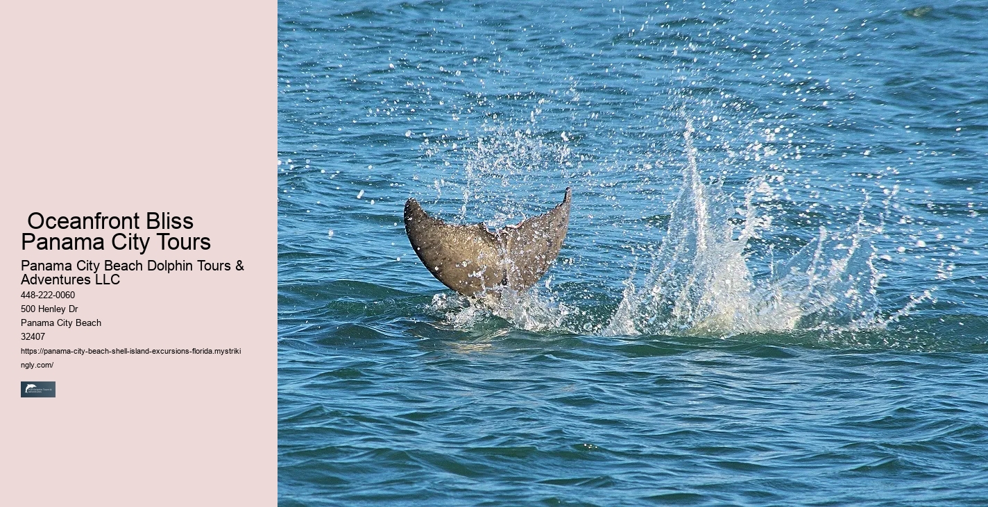  Coastal Dreamland Panama City FL