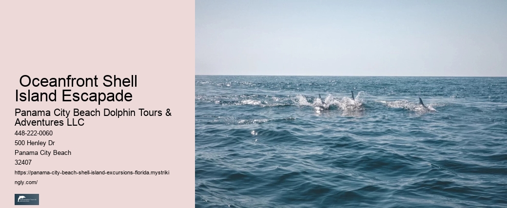  Where Do You Use The Bathroom On Shell Island