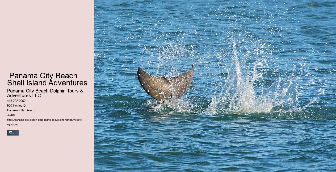  Do You Have To Book Shell Island