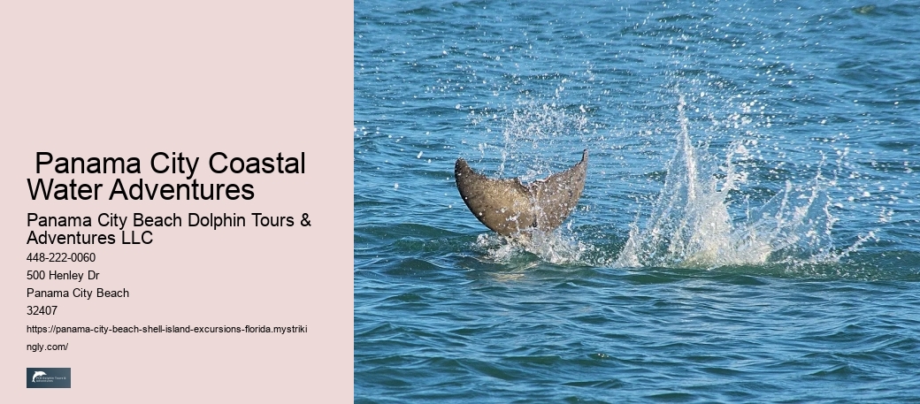  Secluded Panorama Shell Island Excursions