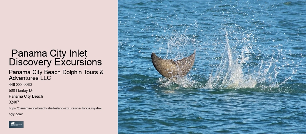  Shell Island Aquatic Paradise Tours