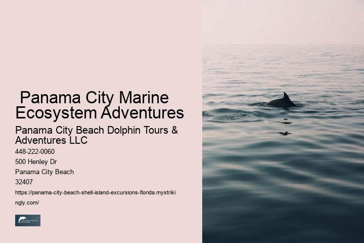  Panama City Marine Ecosystem Adventures