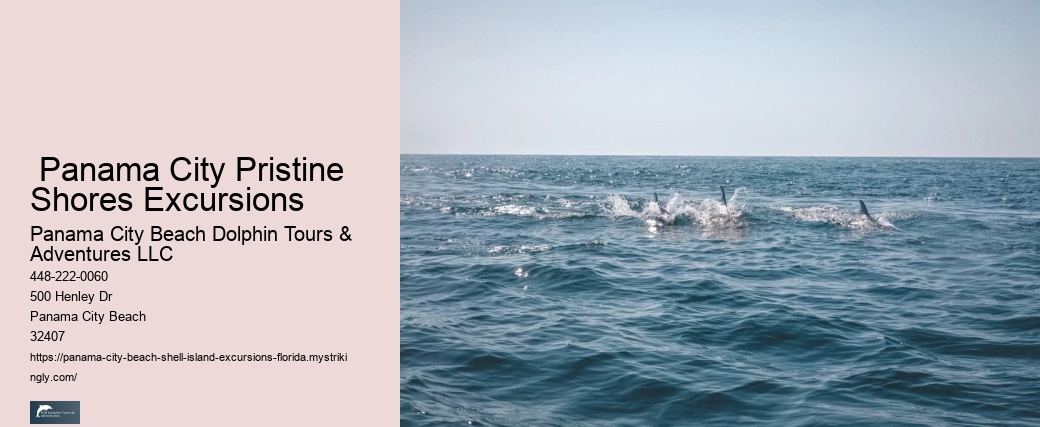  Panama City Pristine Shores Excursions