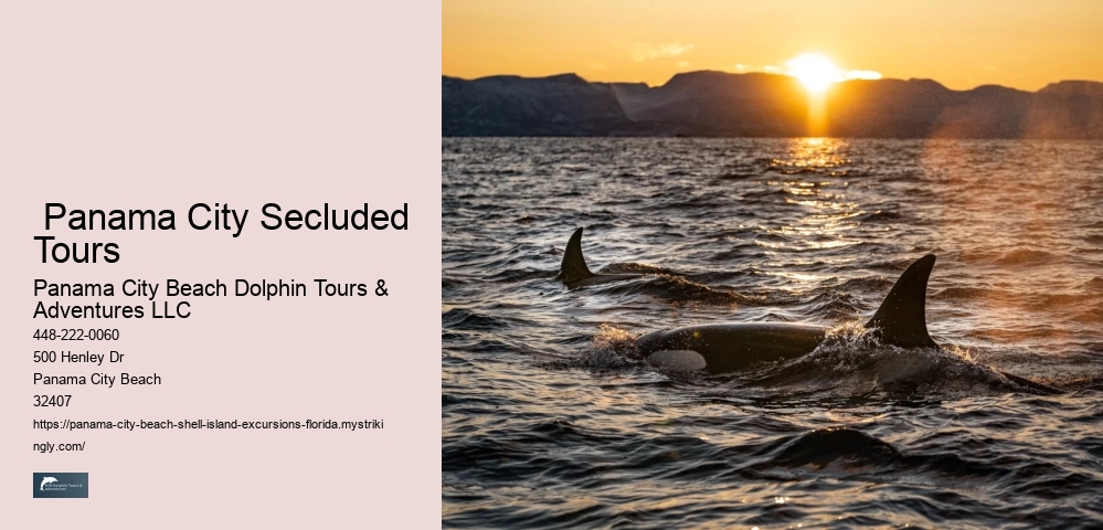  Panama City Secluded Tours