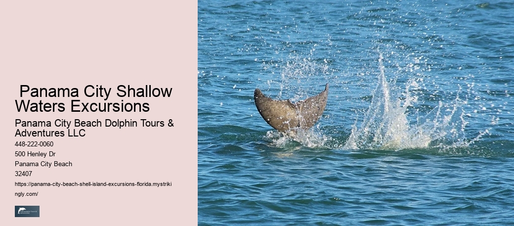  What Is The Closest Town To Shell Island