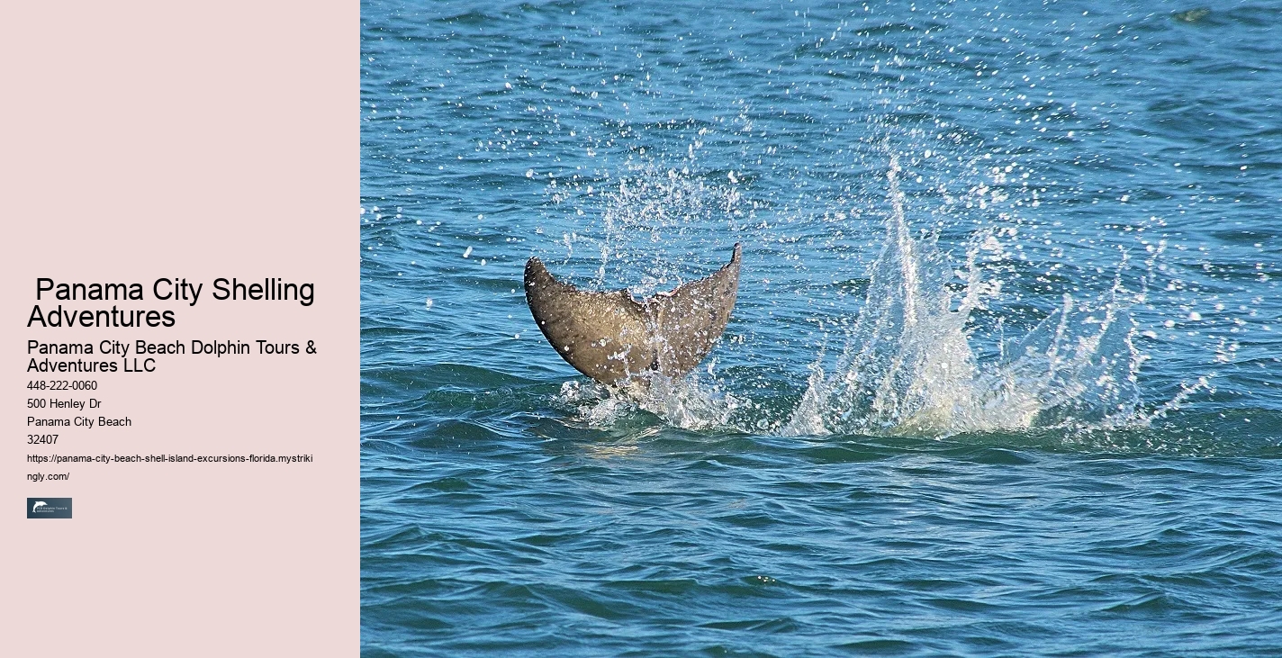  Coastal Dreamland Panama City FL