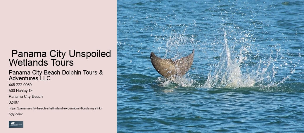  Panama City Unspoiled Wetlands Tours