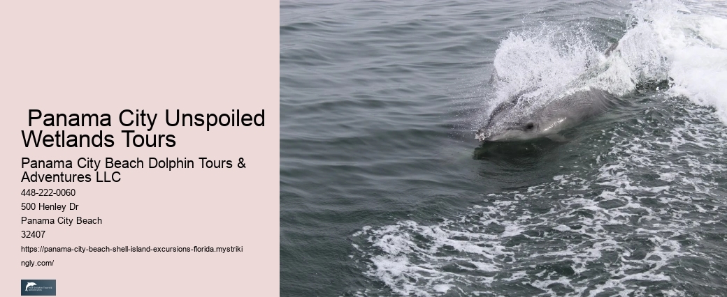 Coastal Bliss Panama City Beach FL