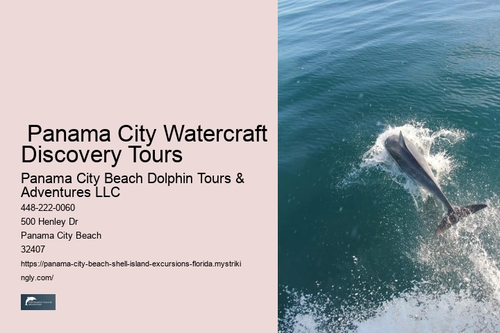  Shell Island Hidden Adventures