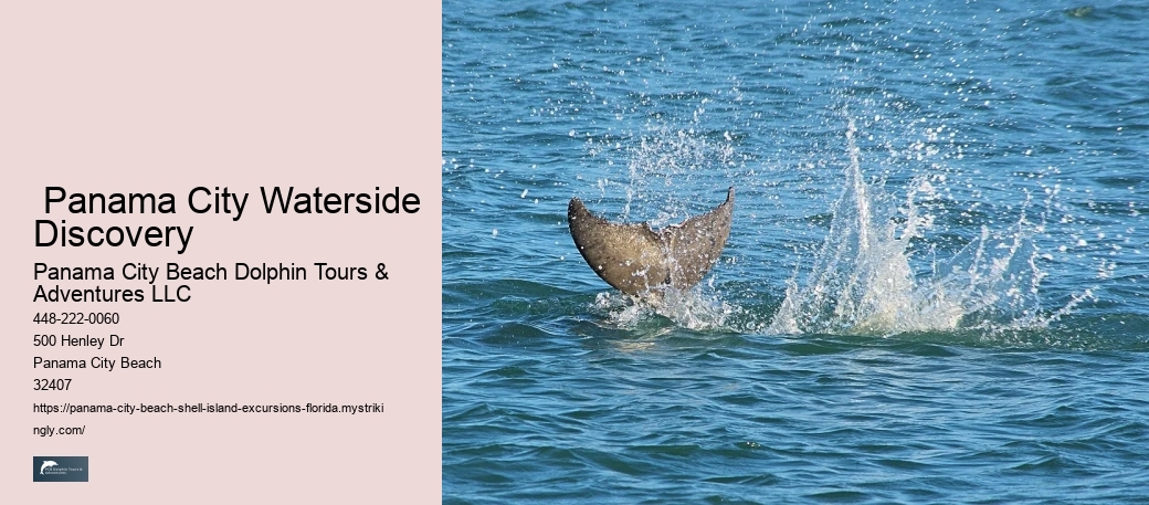  Panama City Waterside Discovery