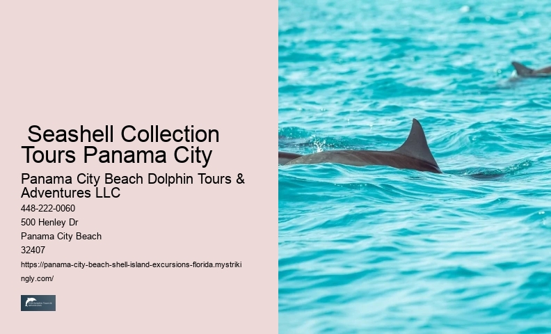  Swim With A Dolphin In Panama City Beach Florida