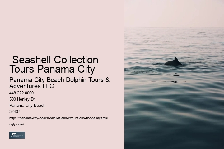  Seashell Collection Tours Panama City