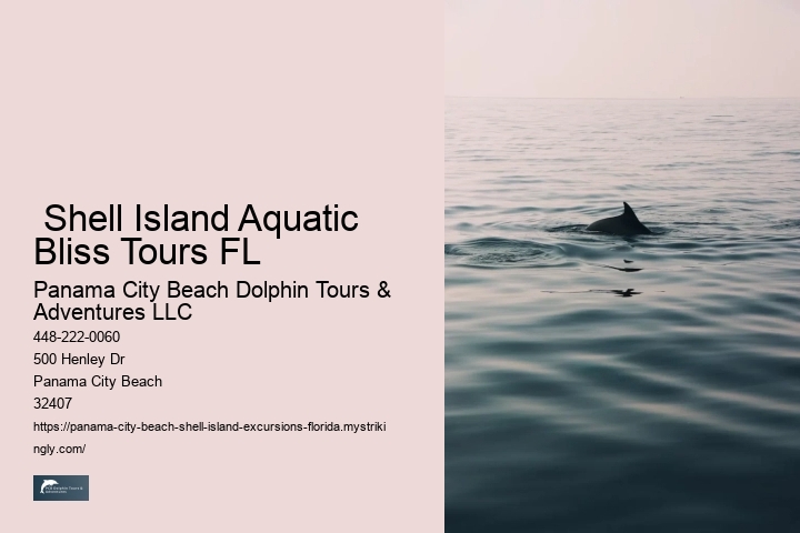  Shell Island Aquatic Bliss Tours FL