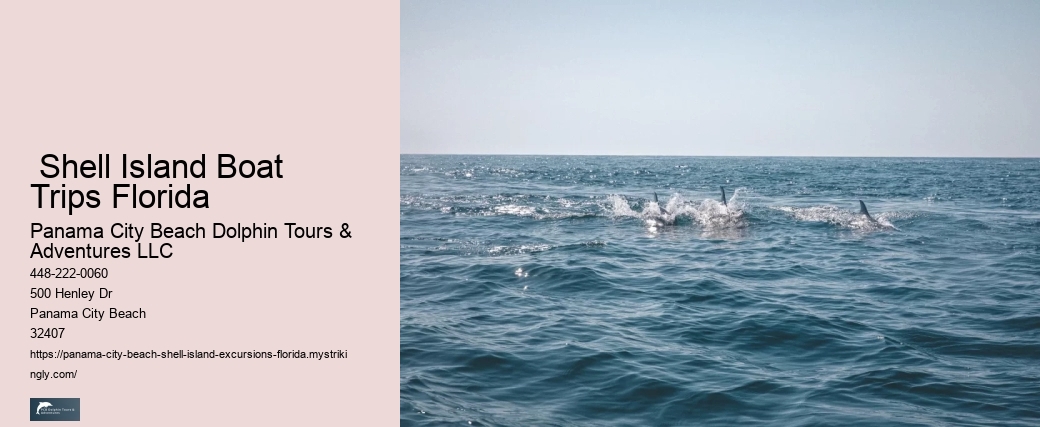  Shell Island Boat Trips Florida