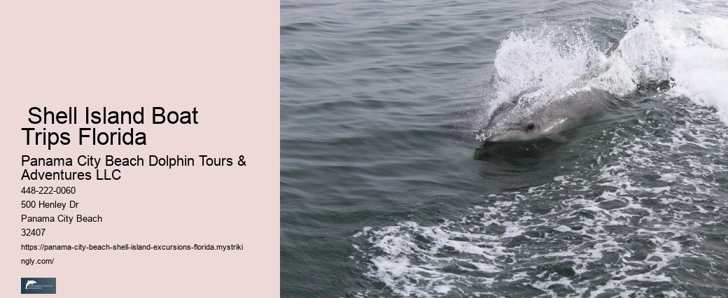  Best Shell Island Excursions Panama City Beach Florida