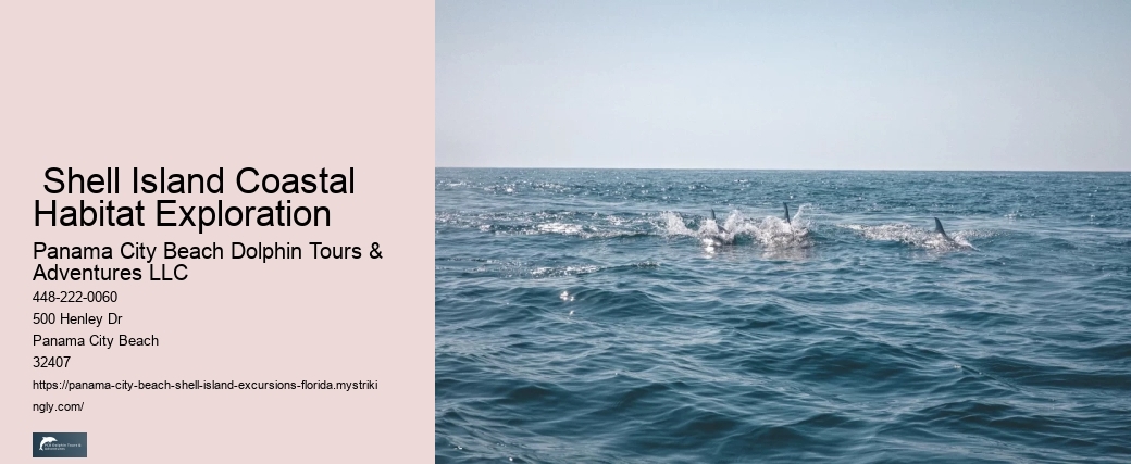  Shell Island Coastal Habitat Exploration