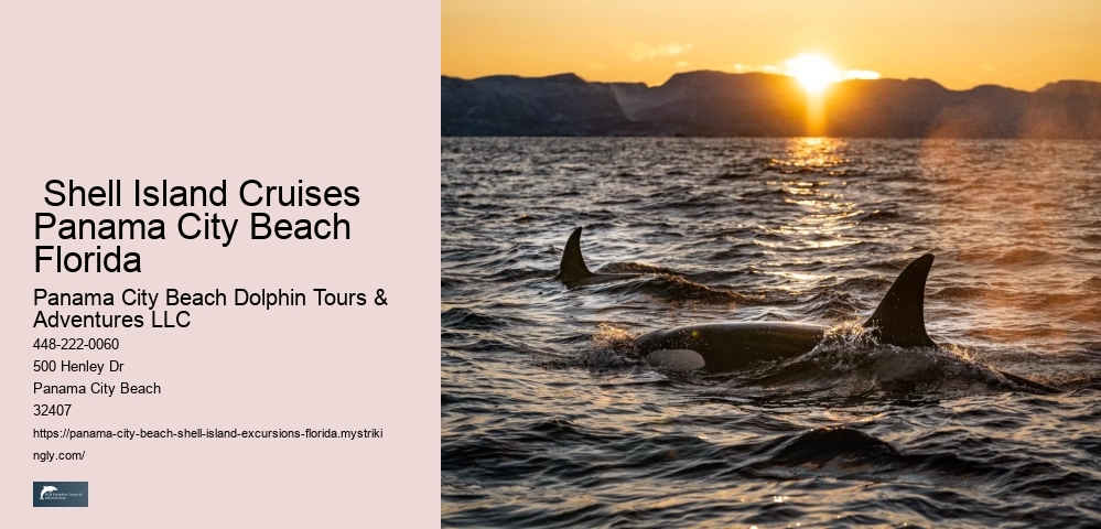  Shell Island Cruises Panama City Beach Florida