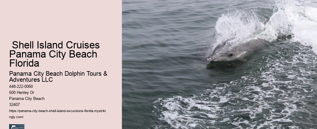  Aquatic Paradise Shell Island FL