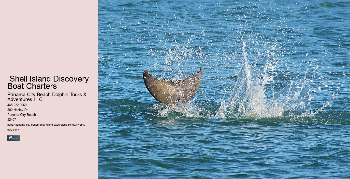   Here Are 6 Unique Beaches