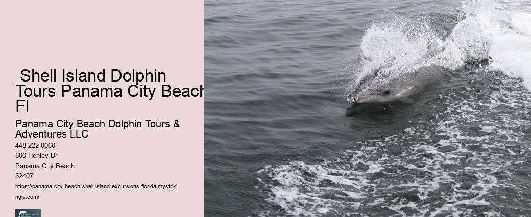  Shell Island - All You Need To Know Before