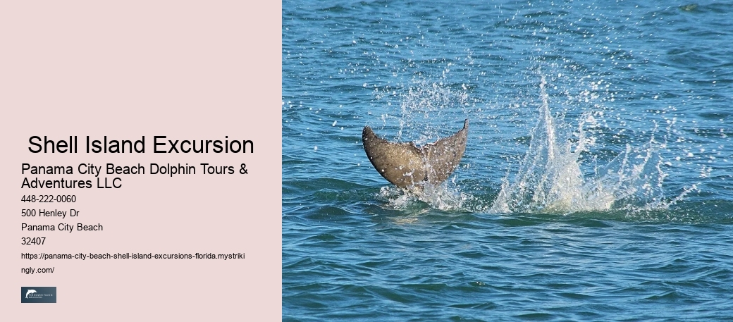  Shell Island Excursion