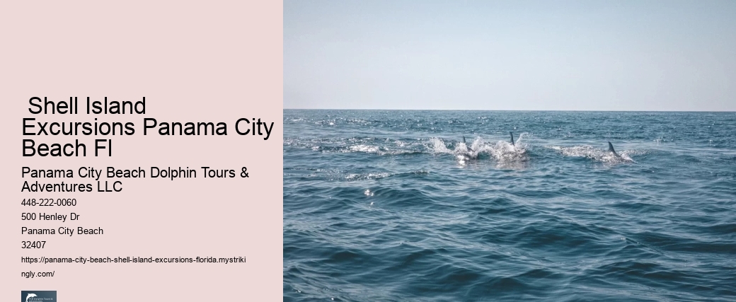  Shell Island Excursions Panama City Beach Fl