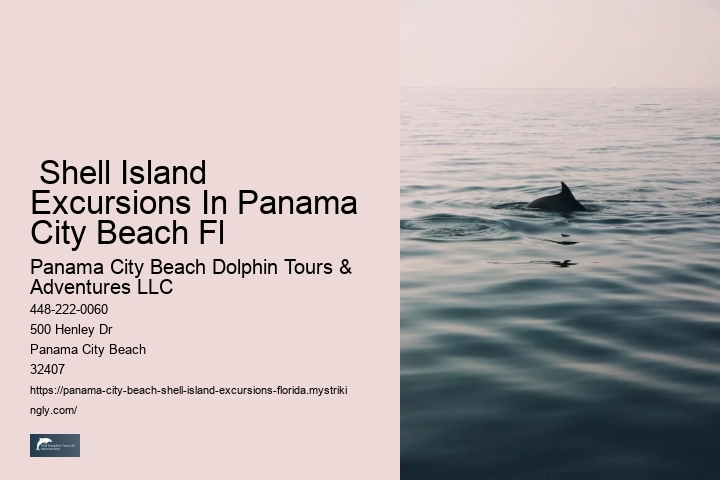  Shell Island Excursions In Panama City Beach Fl