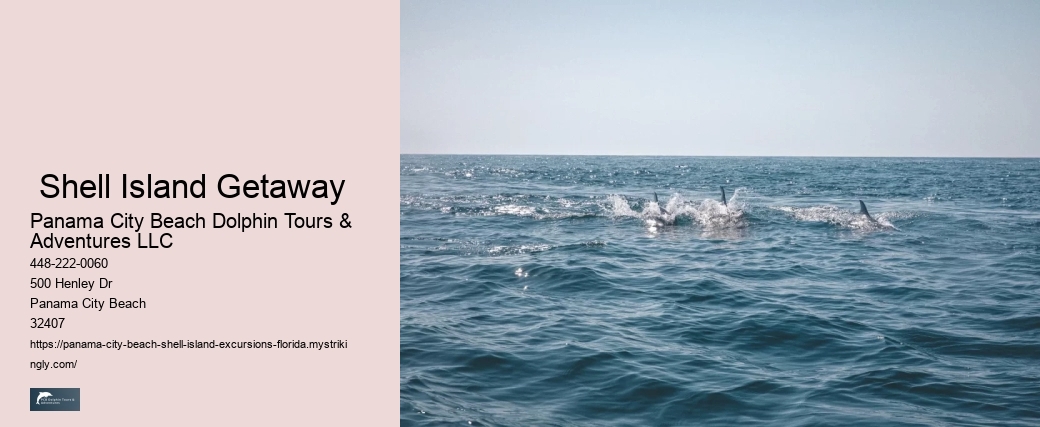  Shell Island Getaway