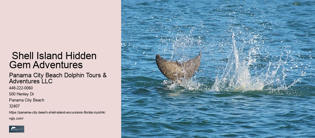  Where Does The Shell Island Shuttle Drop You Off?