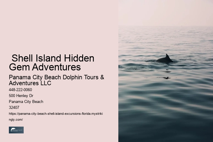  Shell Island Hidden Gem Adventures