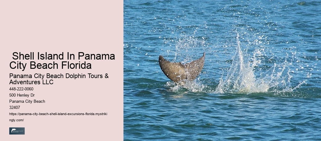  Campsite Shops | Camping Shops