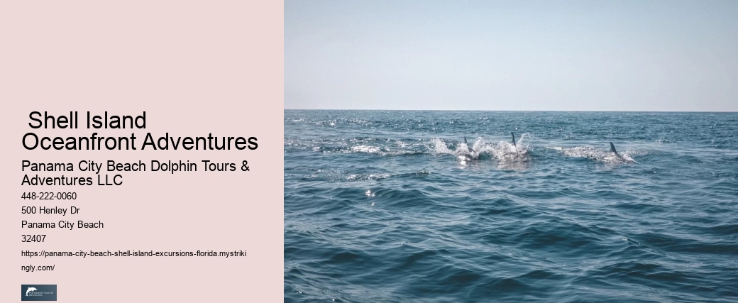  Shell Island Oceanfront Adventures