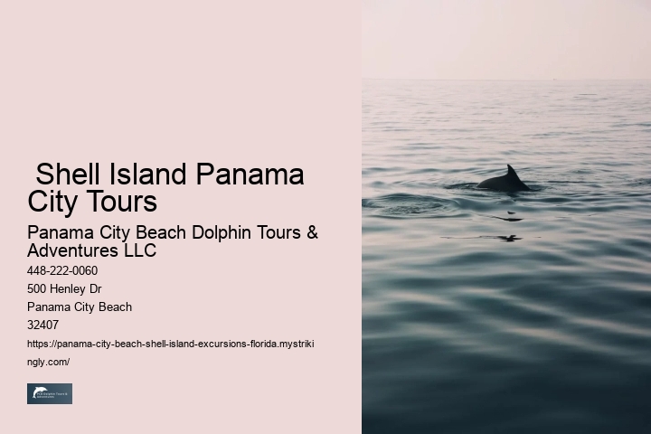  Shell Island Panama City Tours