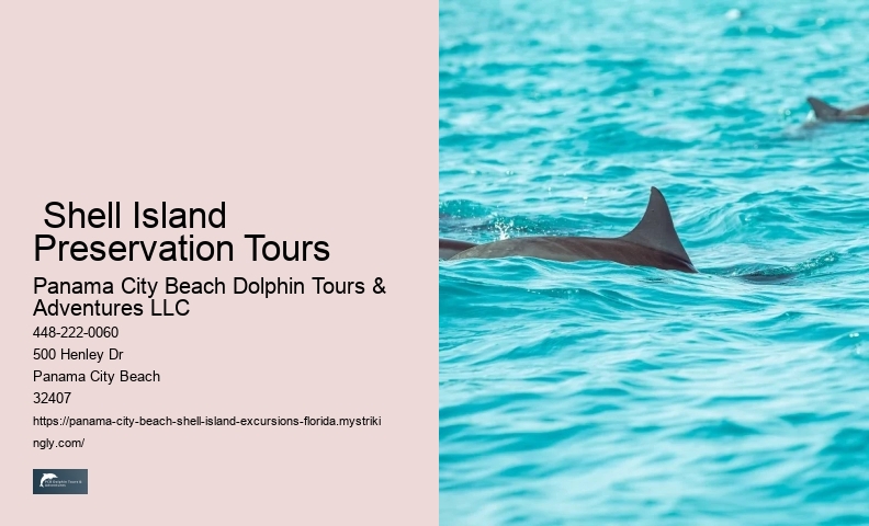  Shell Island Sailing Adventures