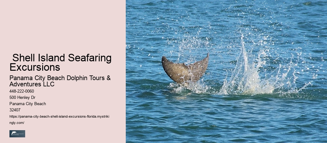  Shell Island Seafaring Excursions