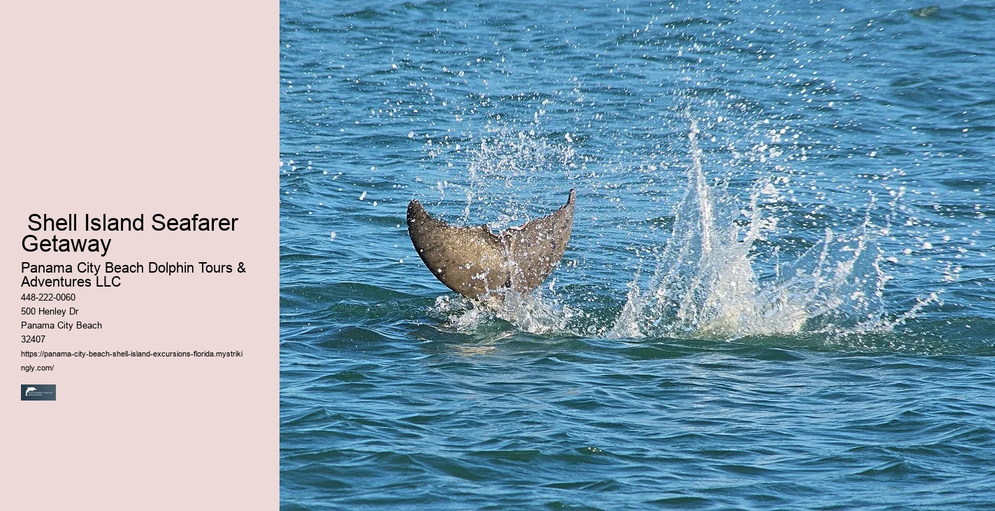  What Is Special About Shell Island