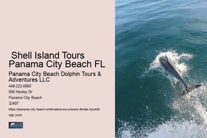  How To Visit Shell Island In Panama City Beach