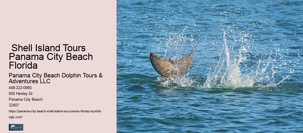  How Do You Get To Shell Island Panama City