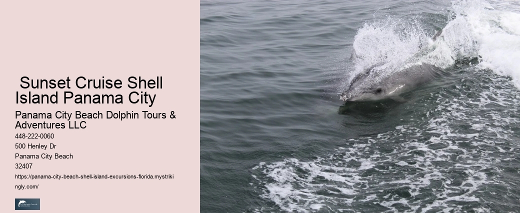  Panama City Marine Life Excursions