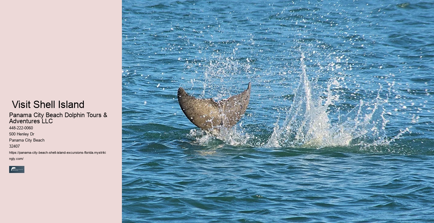  Shell Beach - All You Need To Know Before You Go