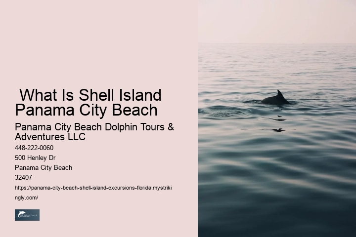  What Is Shell Island Panama City Beach