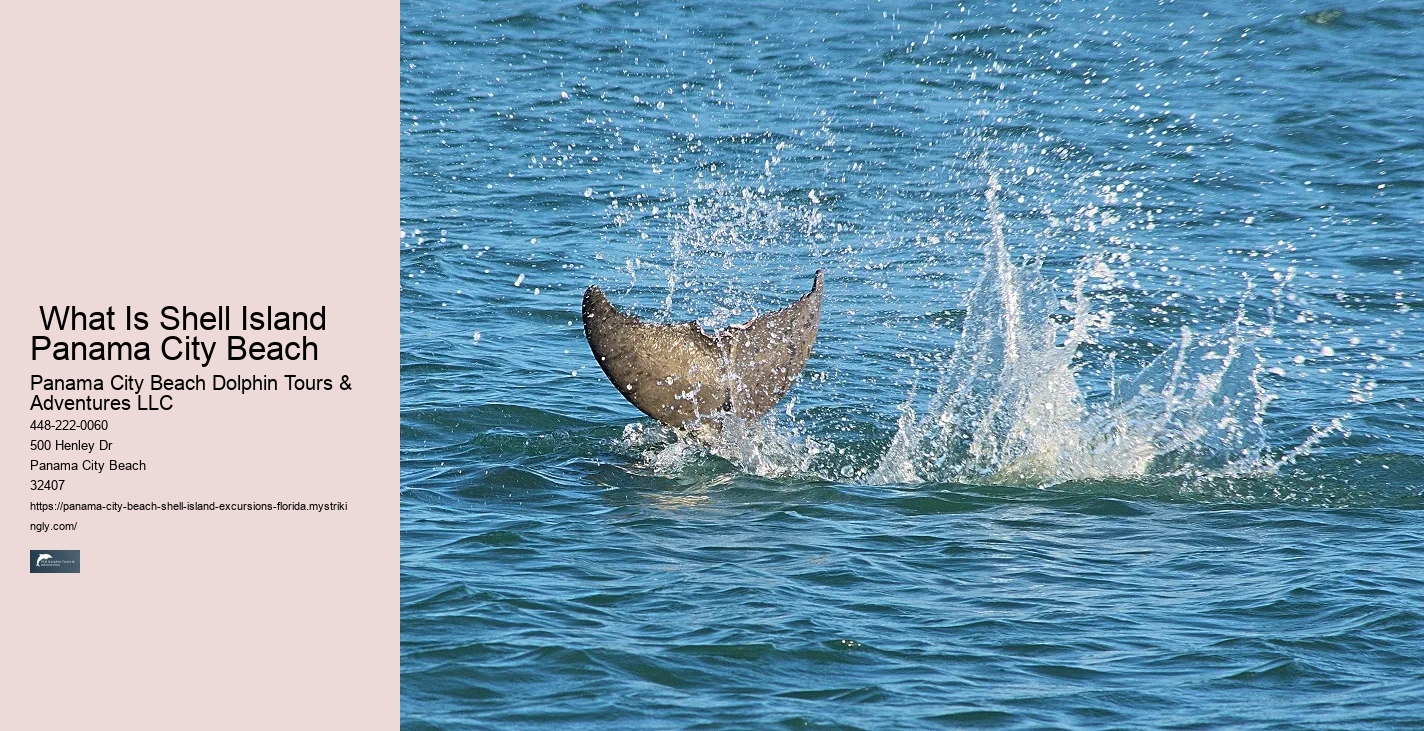   Also Some Aqua And Blue