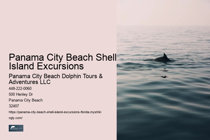 Panama City Beach Shell Island Excursions