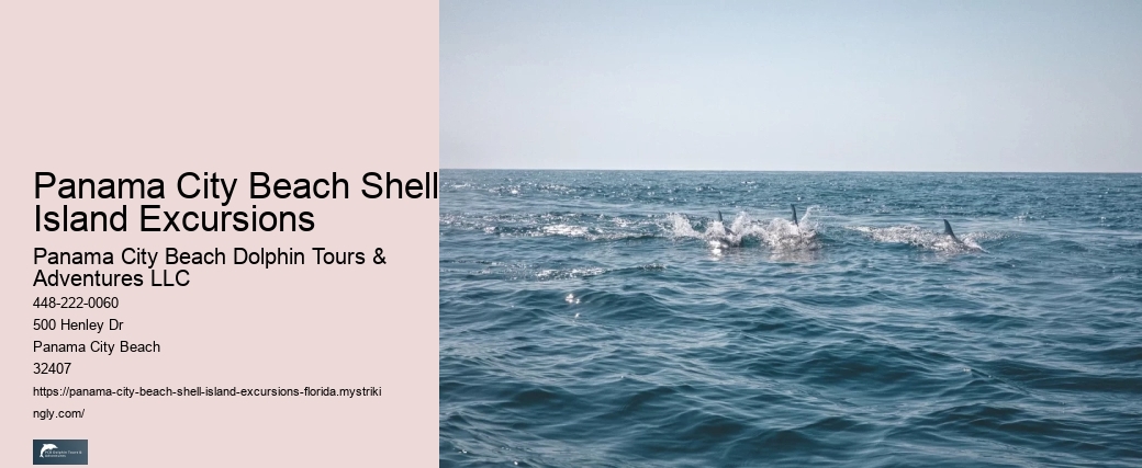 How Long Does It Take To Get To Shell Island By Boat