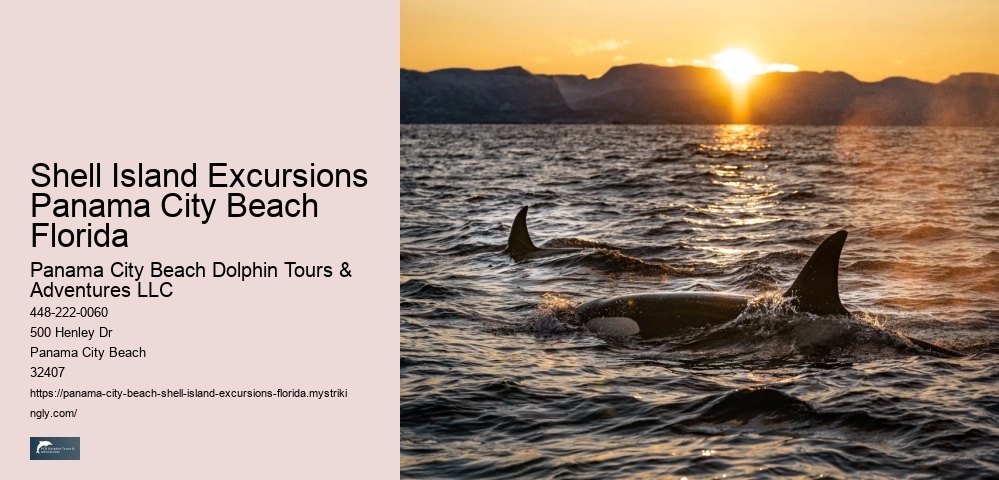  Shell Island Shuttle